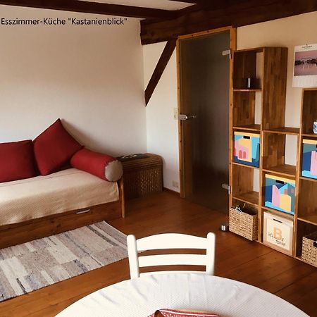 Ferienwohnung Kastanienblick Oder Parkblick, Oder Unser Radlerzimmer! Ziethen  Luaran gambar