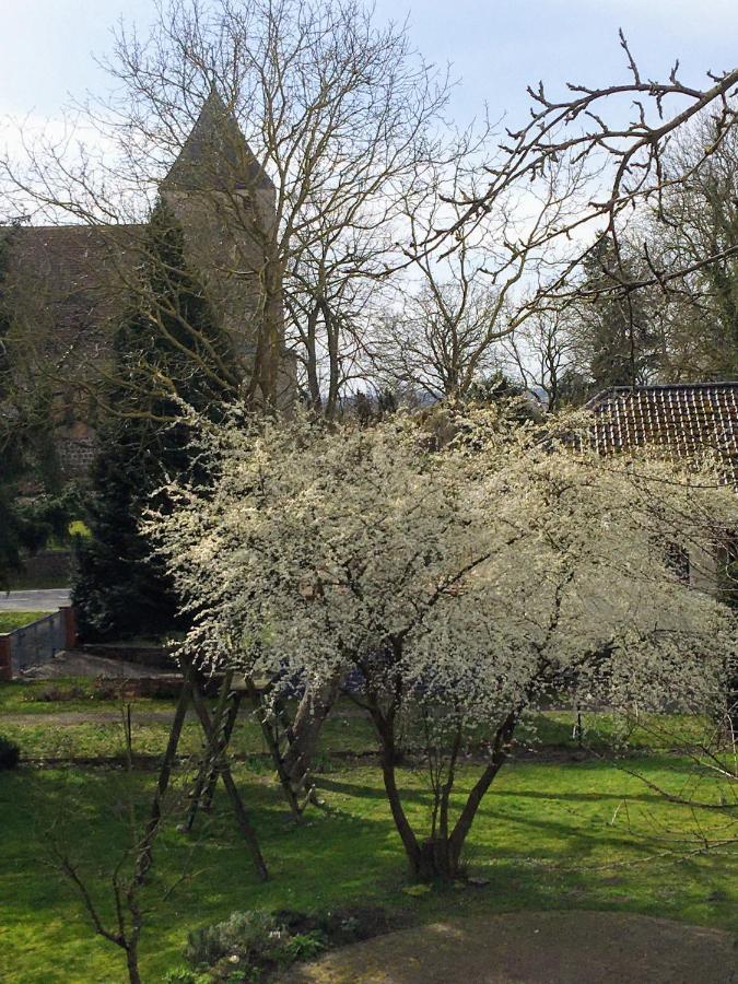 Ferienwohnung Kastanienblick Oder Parkblick, Oder Unser Radlerzimmer! Ziethen  Luaran gambar