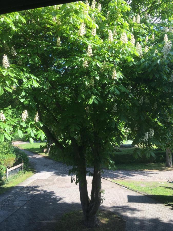 Ferienwohnung Kastanienblick Oder Parkblick, Oder Unser Radlerzimmer! Ziethen  Luaran gambar