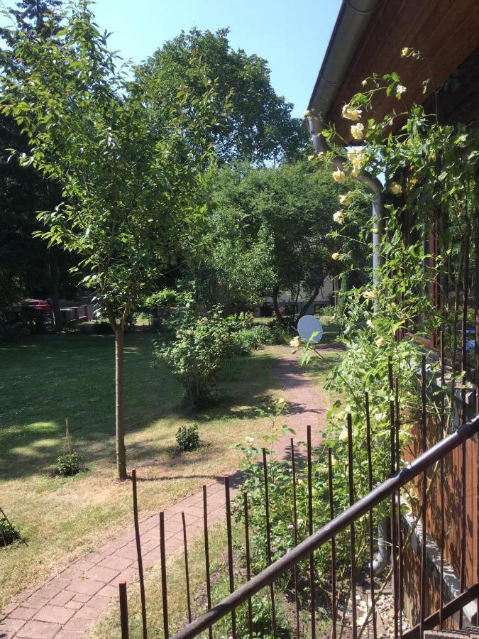 Ferienwohnung Kastanienblick Oder Parkblick, Oder Unser Radlerzimmer! Ziethen  Luaran gambar