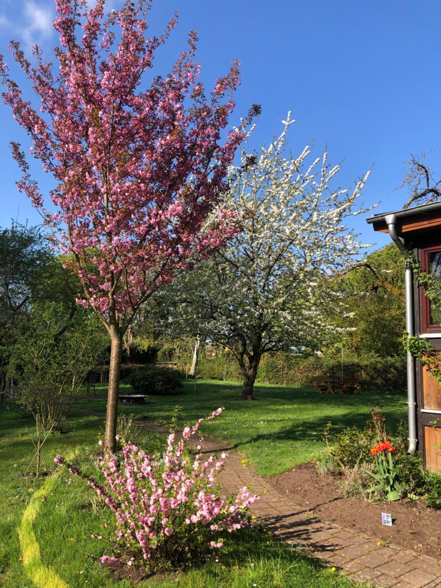 Ferienwohnung Kastanienblick Oder Parkblick, Oder Unser Radlerzimmer! Ziethen  Luaran gambar
